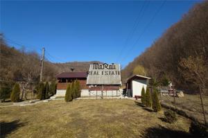 Iaz de vanzare in Apuseni- cazare, agrement si pescuit la DN74 - imagine 14