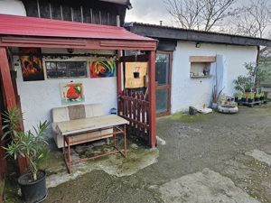 De vanzare casa Dudestii Noi - imagine 5
