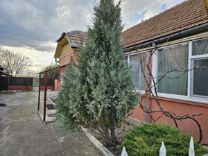 De vanzare casa Dudestii Noi - imagine 4