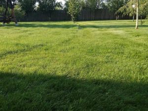 Ciopani vila 5 camere teren 4000 mp - imagine 7