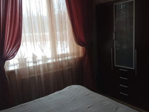 Ciopani vila 5 camere teren 4000 mp - imagine 13