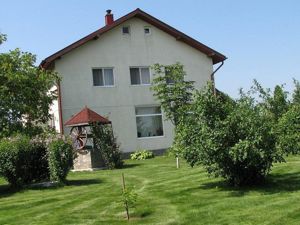 Ciopani vila 5 camere teren 4000 mp - imagine 3