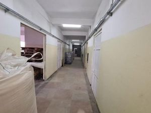 Drumul Intre Tarlale spatiu productie 1350 mp - imagine 14 Drumul Intre Tarlale spatiu productie 1350 mp - imagine 14