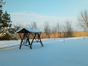 Ciopani vila 5 camere teren 4000 mp - imagine 14