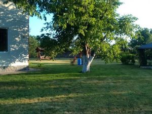 Ciopani vila 5 camere teren 4000 mp - imagine 11