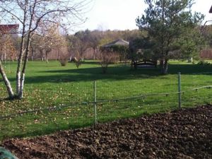 Ciopani vila 5 camere teren 4000 mp - imagine 4