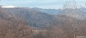 vand teren intravilan - imagine 5