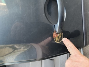 Vand VW Caddy Maxy Life - imagine 5