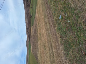 Vand teren extravilan 5800 mp - imagine 4