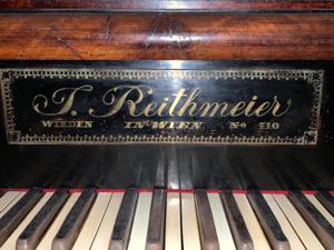 Pian cu coada Reithmeier - imagine 3