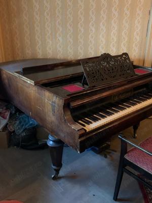 Pian cu coada Reithmeier - imagine 2