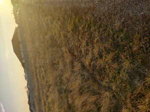 Vind parcela teren Mănăstire Sag892mp 85euro mp.  - imagine 3