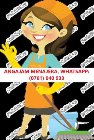 Angajam menajera 5200 RON