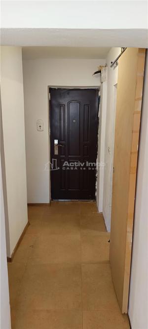 Apartament 28mp in Berzasca  CS - imagine 18