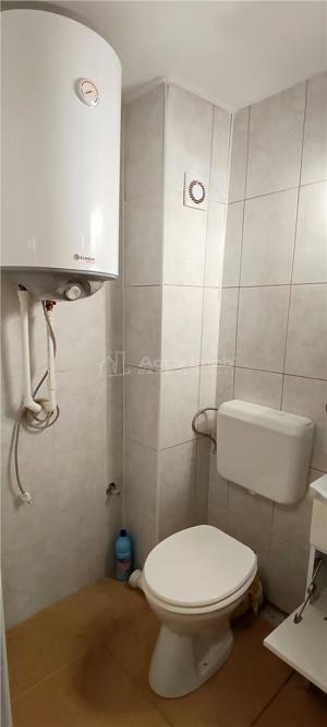 Apartament 28mp in Berzasca  CS - imagine 17