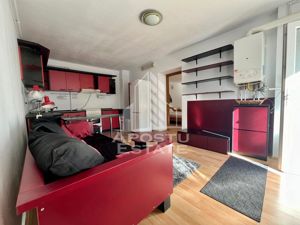 Apartament 2 camere,centrala proprie,Pet friendly,zona Iosefin - imagine 2