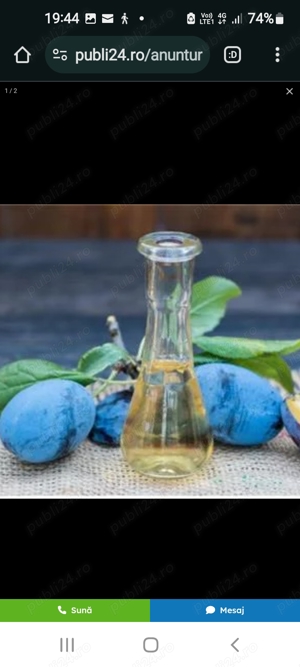 tuica si palinca - imagine 4