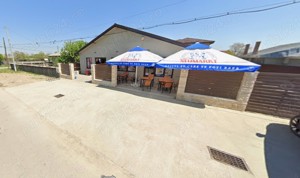 Spatiu comercial si Vila P+1 de vanzare in Comuna Cosereni, jud.Ialomita, 50 km de Bucuresti - imagine 2