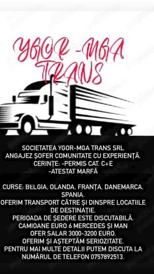 Angajam șofer profesionist 