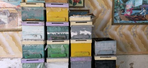 vand lazi de albine - imagine 4