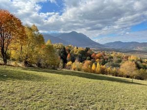 Vand teren la munte zona similara cu Sinaia, Bucegi, Azuga si Predeal - imagine 8