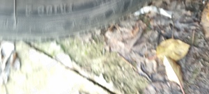 roti tabla mercedes 195 60 15