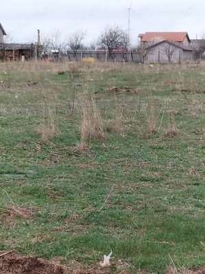 teren MANGALIA intravilan - imagine 5