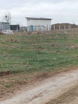 teren MANGALIA intravilan - imagine 3