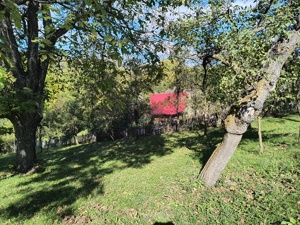 Teren de vânzare  - imagine 5