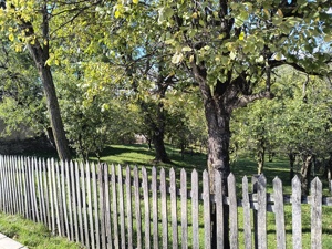 Teren de vânzare  - imagine 3