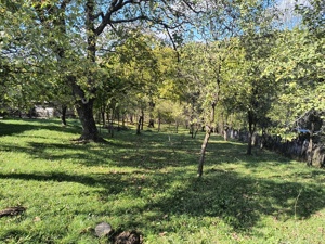 Teren de vânzare  - imagine 7