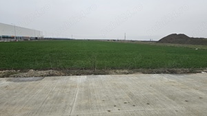 Teren intravilan Calea Sagului  - imagine 4 Teren intravilan Calea Sagului  - imagine 4