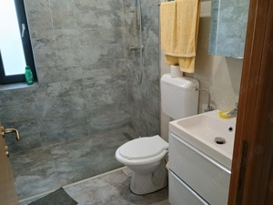 Vand VILA in comuna Berceni judetul ILFOV - imagine 6