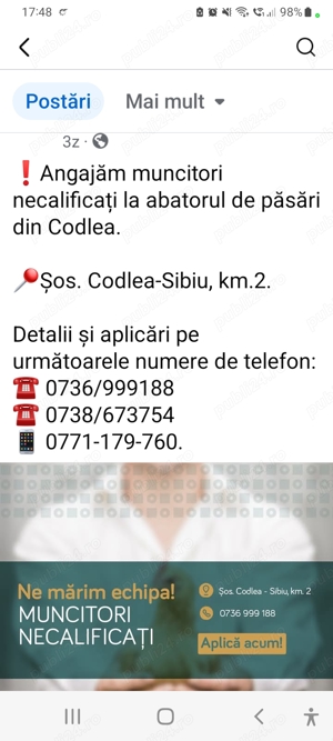 Angajare abator păsări Codlea