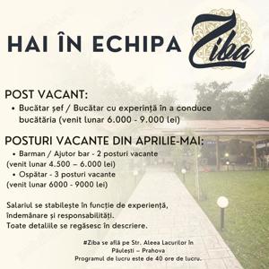 Angajam bucatar sef, bucatar, ospatar, barman (ne marim echipa)