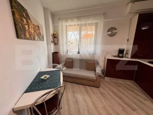 Apartament de 1 camera, 31 mp, mobilat si utilat, zona Palas - imagine 3