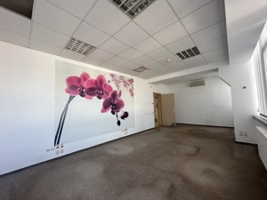 Theodor Pallady stradal birou 410 mp utili LIBER - imagine 7