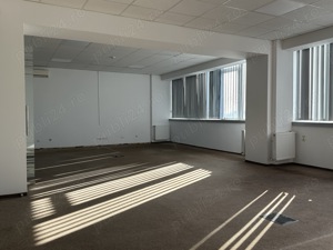 Theodor Pallady stradal birou 410 mp utili LIBER - imagine 19