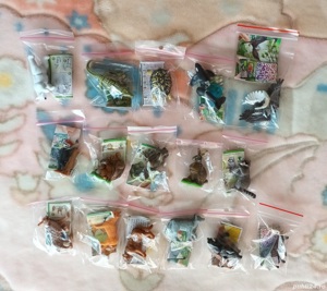 Lot Kinder Natoons serie completă