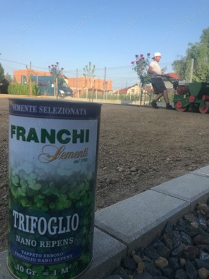  Servicii peisagistice