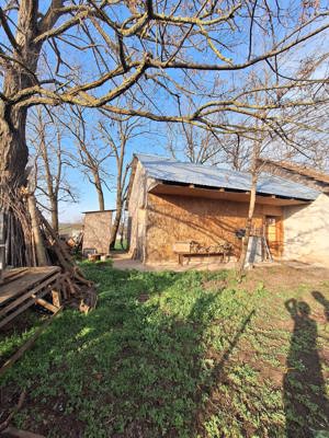 Vând casa Draganesti Vlasca, Teleorman 