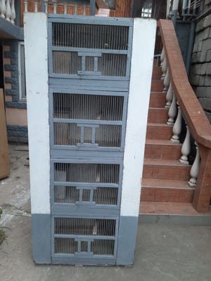 Colivii Peruși   mai multe bucăți, stare foarte bună - imagine 3