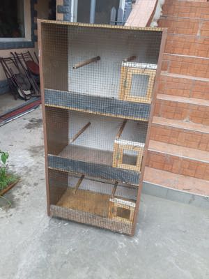 Colivii Peruși   mai multe bucăți, stare foarte bună