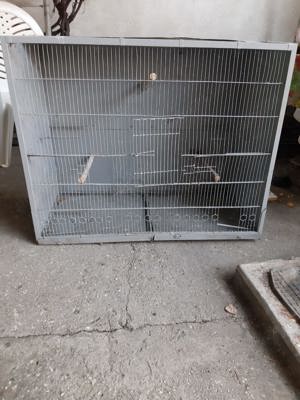 Colivii Peruși   mai multe bucăți, stare foarte bună - imagine 2