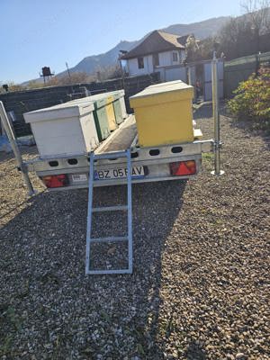 Platforma apicola cu 10 familii de albine((RAR facut)