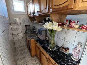 Vila individuala, 190 mp, 8 camere, garaj, curte, zona Lipovei-Timisoara - imagine 4