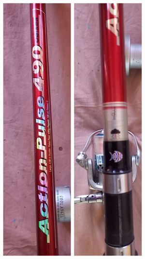 Lanseta   bologneza telescopica 4 5m, 4,9m, 5m - imagine 4