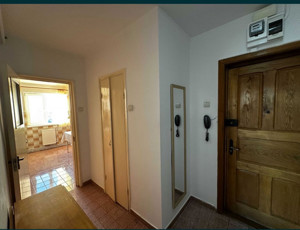 Apartament cu 2 camere /Zona Lămâița - imagine 5