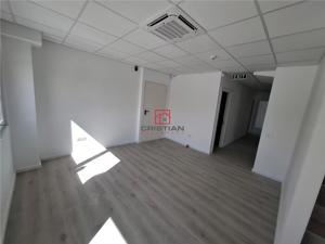 Inchiriere depozit hala spatiu industrial Chitila - Centura - Rudeni - imagine 19