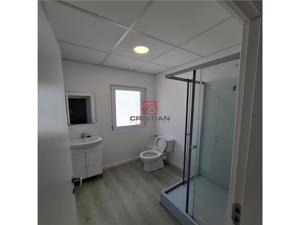 Inchiriere depozit hala spatiu industrial Chitila - Centura - Rudeni - imagine 10